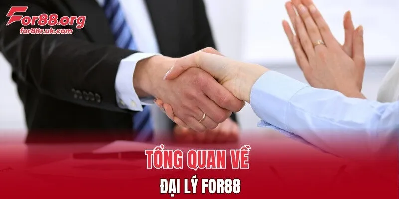 Tổng quan về đại lý FOR88